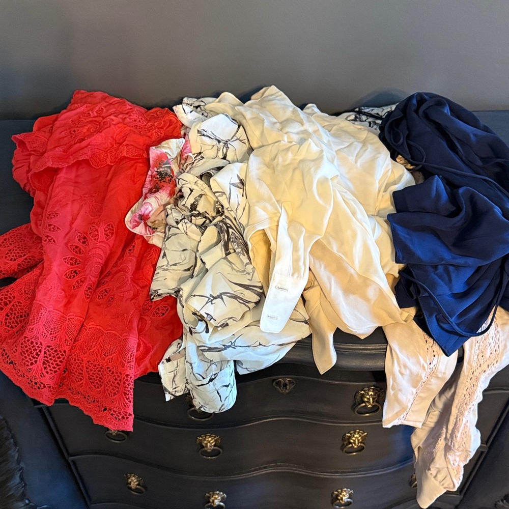 Haute hippie silk sample lot